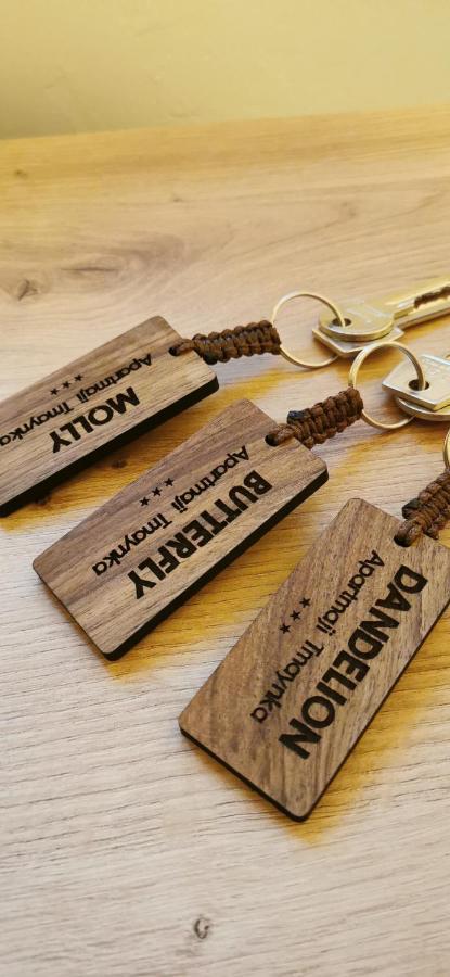 Apartmaji Tmaynka Tolmin Esterno foto